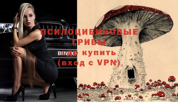сатива Абдулино